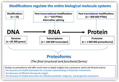 Editorial: Biomolecular modifications in endocrine-related cancers